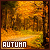 Autumn fansite button