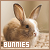 bunny fansite button