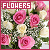 Flowers fansite button