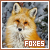 foxes fanstite button