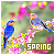 Spring fansite button