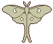 Arunyi Moonmoth pixel