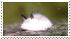 sea bunny stamp